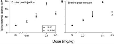 Deuterated buprenorphine retains pharmacodynamic properties of buprenorphine and resists metabolism to the active metabolite norbuprenorphine in rats